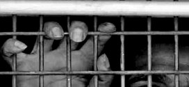 Prisoners tortured in indescribable ways in Egypt