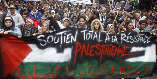 371842_France-protest-Palestine-650x330