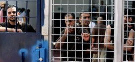 378215_Palestinian-prisoners-650x330