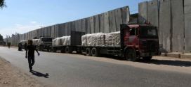 387473_Trucks-cement-Gaza-650x330